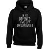in My Defence, I was Left Unsupervised Hoodie