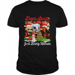 Best dear Santa just bring horses Christmas sweater