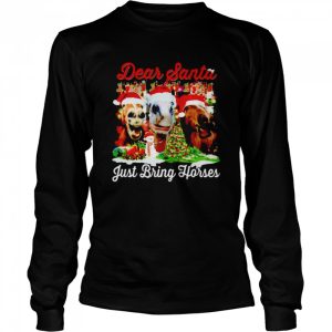 Best dear Santa just bring horses Christmas sweater 3