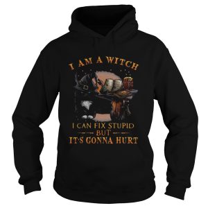 Black Cat I Am A Witch I Can Fix Stupid But Its Gonna Hurt shirt