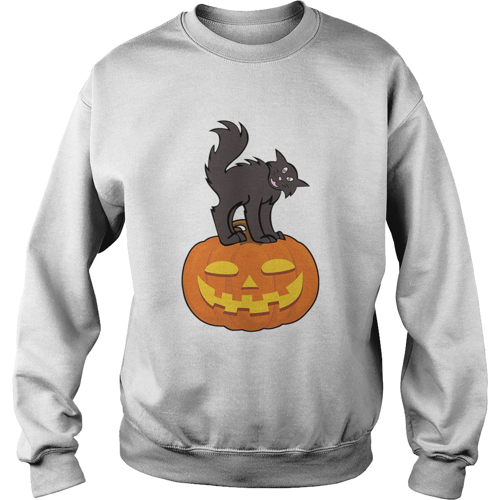 Black Cat On Pumpkin Funny Cat Lover TShirt Black Cat On Pumpkin Funny Cat Lover TShirt