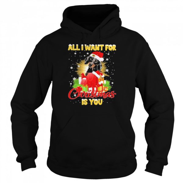 Black Dachshund All I Want For Christmas Is You Sweat T-shirt