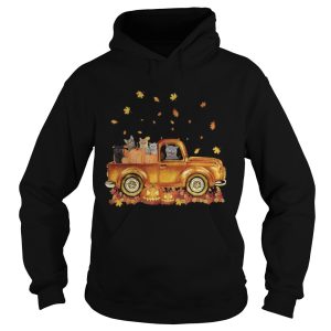 Cats pumpkin car halloween shirt