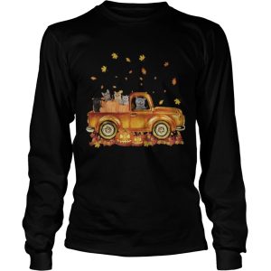 Cats pumpkin car halloween shirt