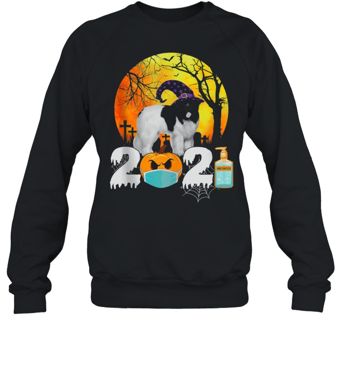 Costume 2021 Halloween Newfoundland Witch Hat shirt Costume 2021 Halloween Newfoundland Witch Hat shirt