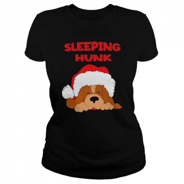 Cute Dug Sleeping Hunk Christmas shirt
