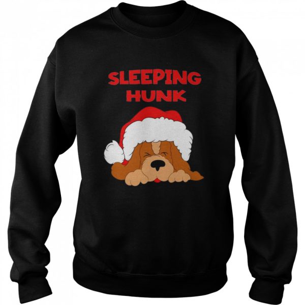 Cute Dug Sleeping Hunk Christmas shirt