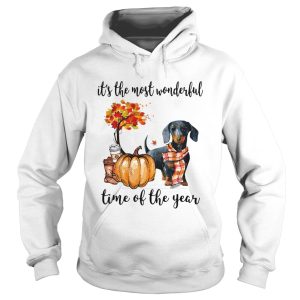 Dachshund its the most wonderful time of the year shirt