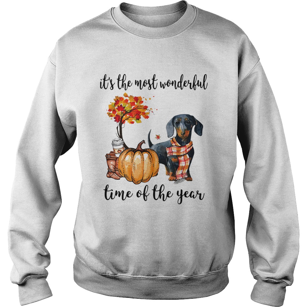 Dachshund its the most wonderful time of the year shirt Dachshund its the most wonderful time of the year shirt