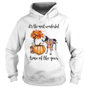 Dalmatian its the most wonderful time of the year shirt