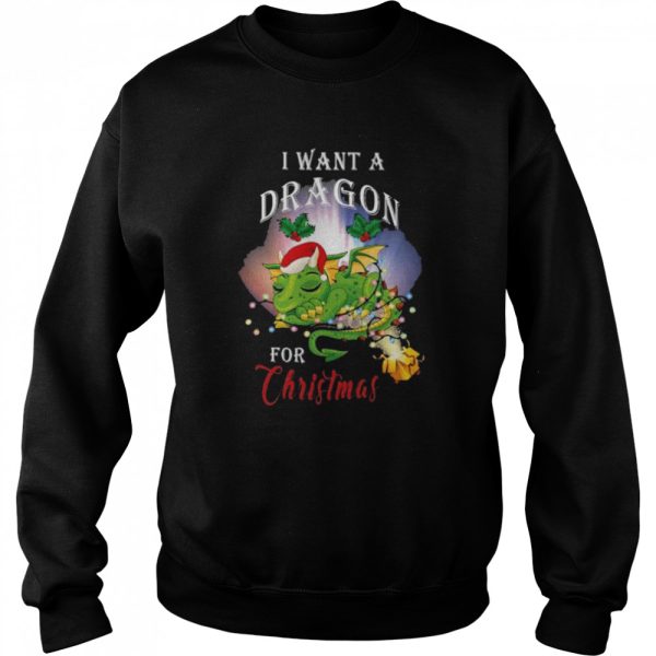Dragon lovers I want a dragon for Christmas santa dragon sweater