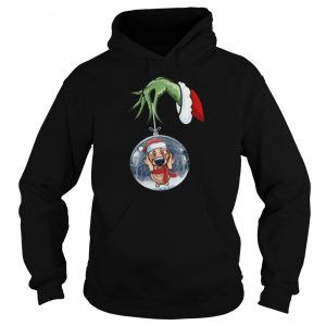 Grinch Hand Holding Dachshund Christmas Shirt 5