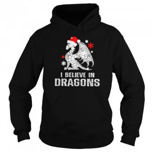 I believe in dragons Xmas shirt 5