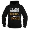 Its just a bunch of Hocus Pocus Halloween t-shirt