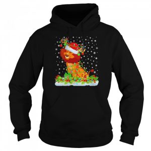 Lion Animal Matching Santa Lighting Lion Christmas Shirt 5