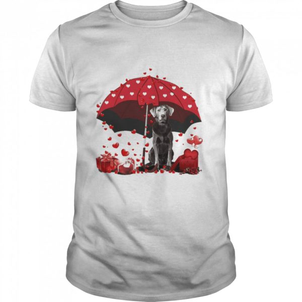 Loving Red Umbrella Silver Labrador Christmas Sweater Shirt