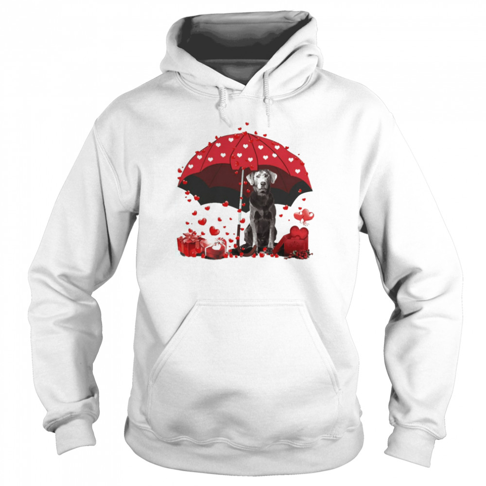 Loving Red Umbrella Silver Labrador Christmas Sweater Shirt Loving Red Umbrella Silver Labrador Christmas Sweater Shirt