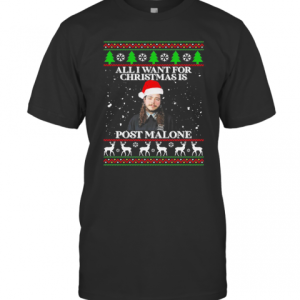 Post Malone All I Want For Christmas Is Home Malone Ugly T-Shirt