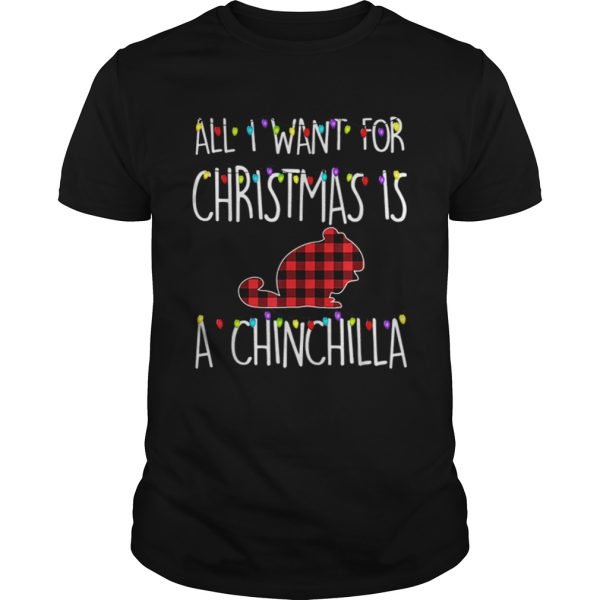 Pretty All I Want For Christmas Is A Chinchilla Animal Xmas Gift shirt