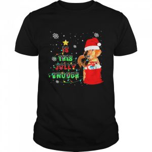 Santa Dachshunds is this jolly enough Christmas shirt