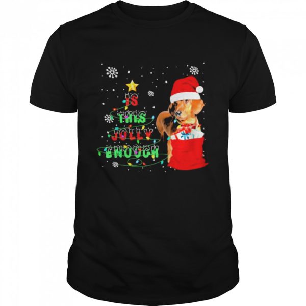 Santa Dachshunds is this jolly enough Christmas shirt