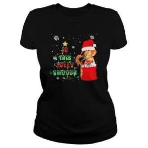 Santa Dachshunds is this jolly enough Christmas shirt