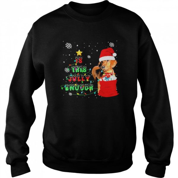 Santa Dachshunds is this jolly enough Christmas shirt