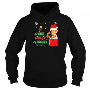 Santa Dachshunds is this jolly enough Christmas shirt 5