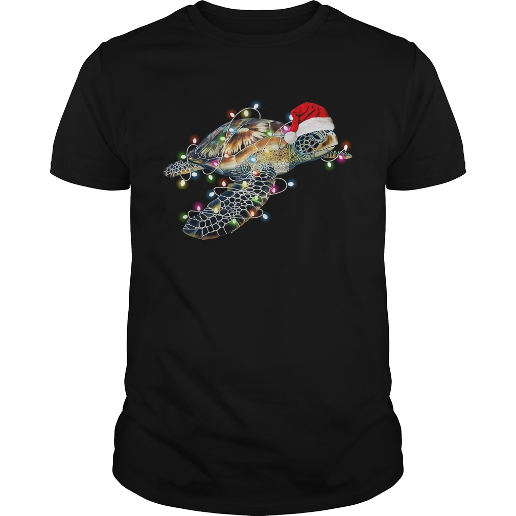 Turtle with Chirstmas hat and light shirt Turtle with Chirstmas hat and light shirt