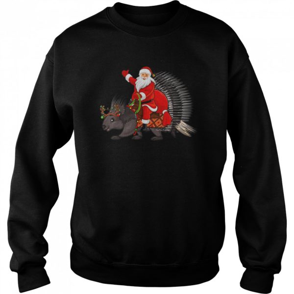 Xmas Family Matching Santa Riding Porcupine Christmas Shirt