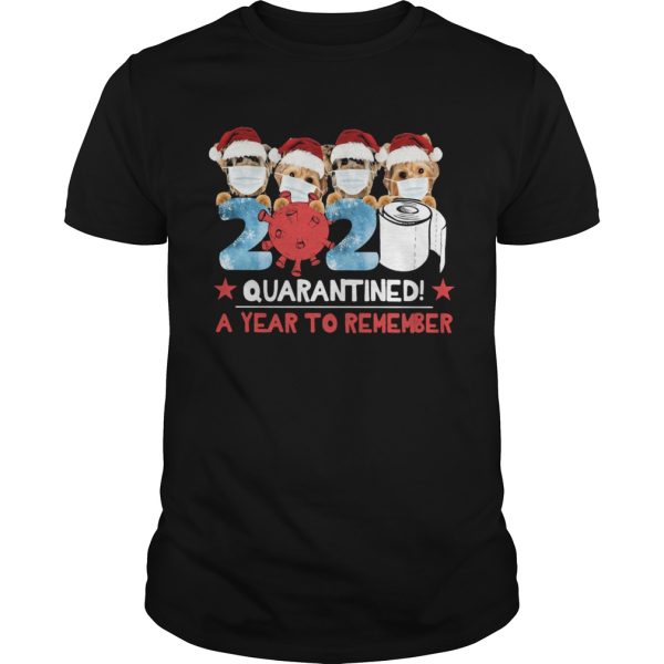 Year to remember quarantined 2020 face mask covid 19 hat santa xmas shirt