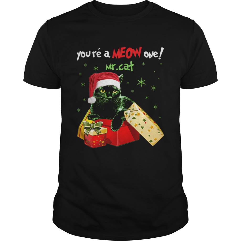 Youre A MEOW One Mr Cat Christmas Holiday Funny TShirt Youre A MEOW One Mr Cat Christmas Holiday Funny TShirt