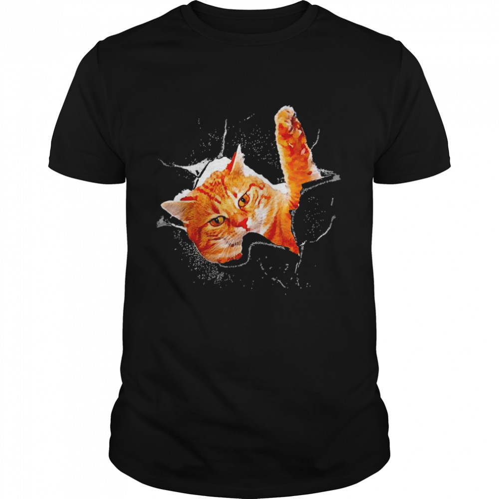 Cat Cracked Wall Shirt Cat Cracked Wall Shirt