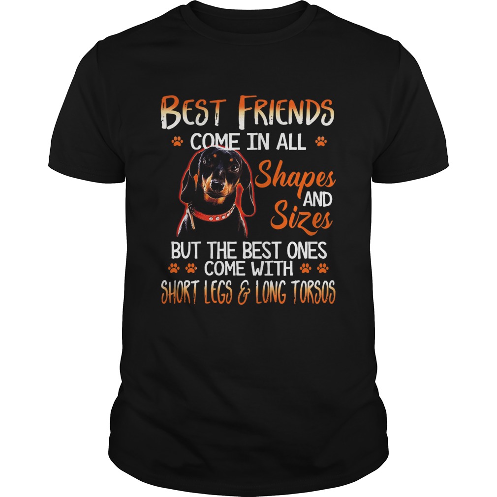 Dachshund Best Friends Come In All Shapes And Sizes shirt Dachshund Best Friends Come In All Shapes And Sizes shirt