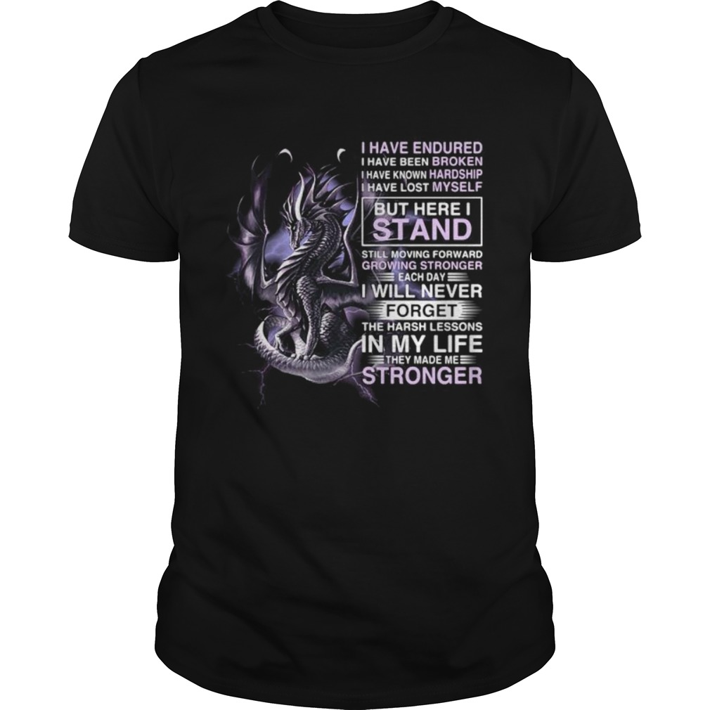 Dragon i have endured i have been broken i have known hardship i have lost myself shirt Dragon i have endured i have been broken i have known hardship i have lost myself shirt