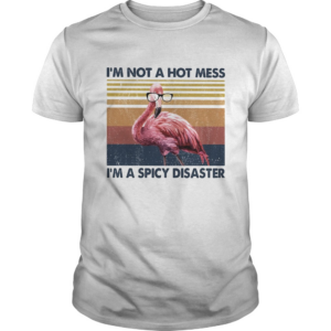 Flamingo Im not a hot mess Im a spicy disaster vintage shirt
