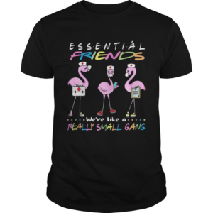 Flamingo Were More Than Just Essential Friends Were Like A Really Small Gang shirt