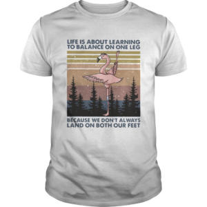 Flamingo life is about learning to balance on the leg because we dont always land on both our feet