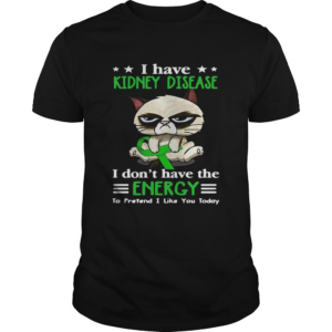 Grumpy Cat Hug Cancer Awareness I Have Kidney Disease shirt
