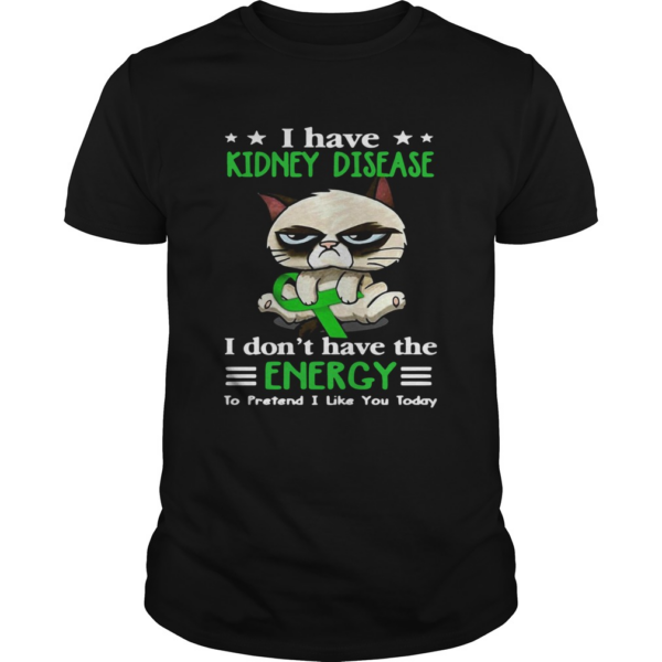 Grumpy Cat Hug Cancer Awareness I Have Kidney Disease shirt