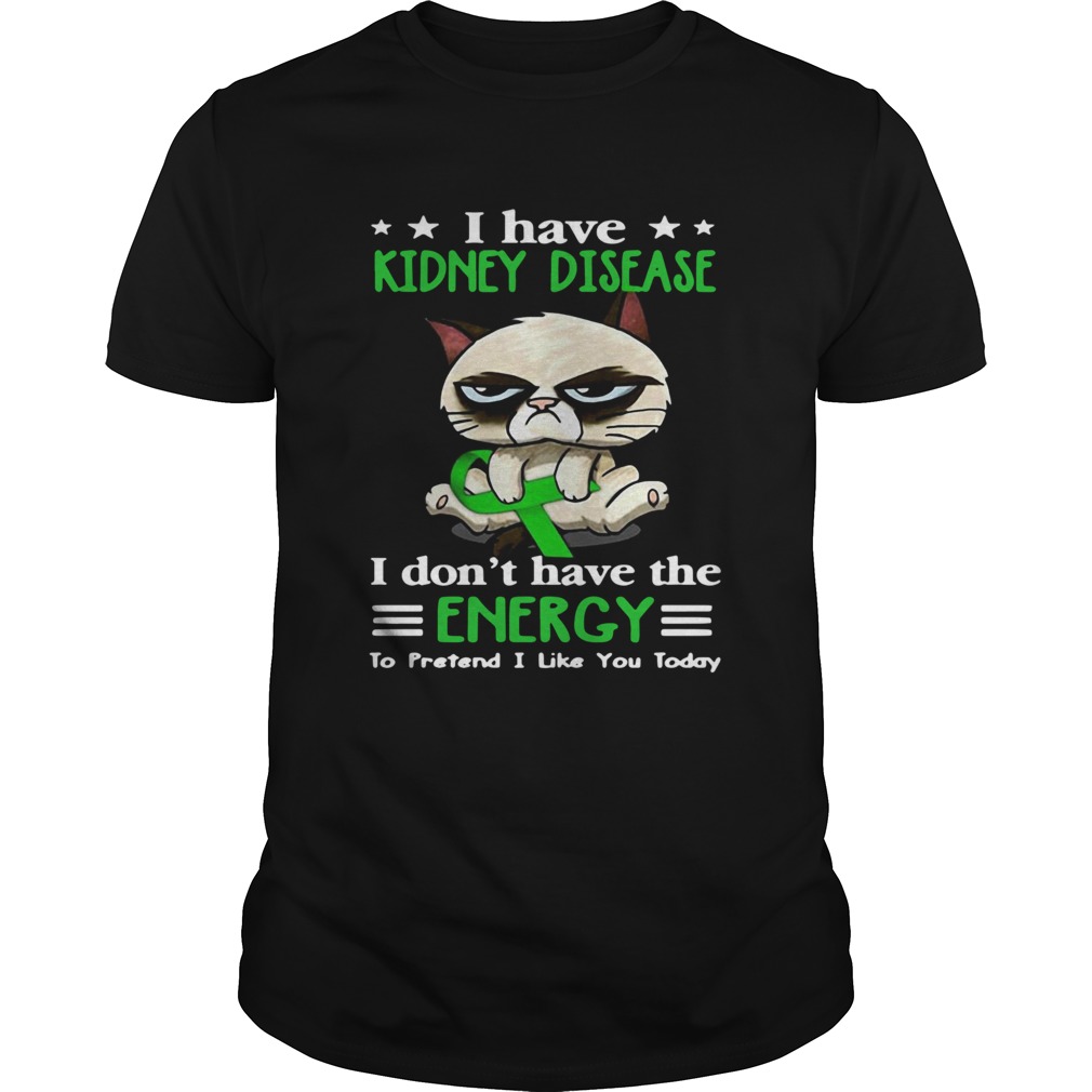 Grumpy Cat Hug Cancer Awareness I Have Kidney Disease shirt Grumpy Cat Hug Cancer Awareness I Have Kidney Disease shirt