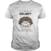 Hedgehog i am so grumpy i am not even talking to myself 2020 shirt