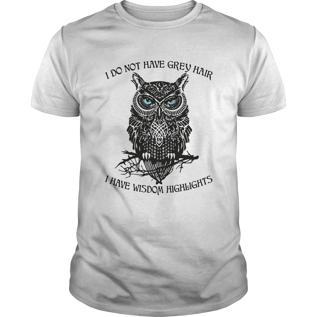I do not have grey hair I have wisdom highlights Owl shirt I do not have grey hair I have wisdom highlights Owl shirt