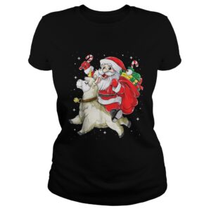 Santa riding Llamacorn christmas sweater