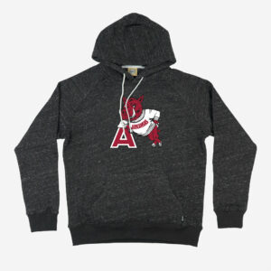 Arkansas Razorbacks
