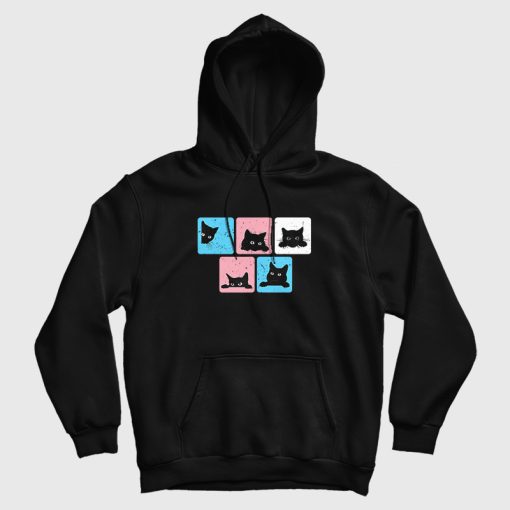 Black Cat Transgender Pride Hoodie Black Cat Transgender Pride Hoodie