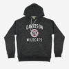 Davidson Wildcats