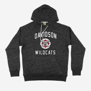 Davidson Wildcats