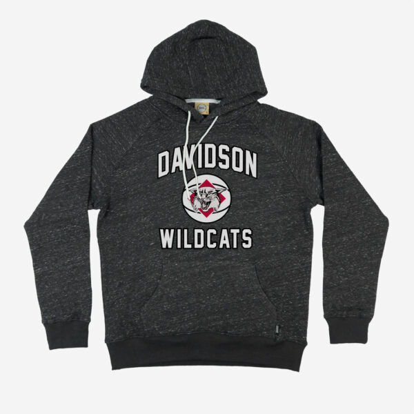 Davidson Wildcats