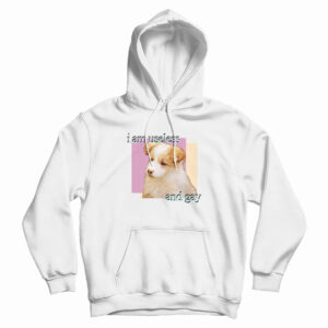 Dog I am Useless And Gay Hoodie For UNISEX